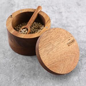 DGYLL Salt bowl, Acacia wood salt cellar with lid and spoon, salt box with swiveling lid, salt container with lid,6oz