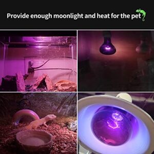 Night Heat Lamp Reptile 100W Heat Bulb, Moonlight Pet Light UVA Spot Lamp for Reptile and Amphibian Tortoise Lizard Snake Chameleon Spider-2 Pack