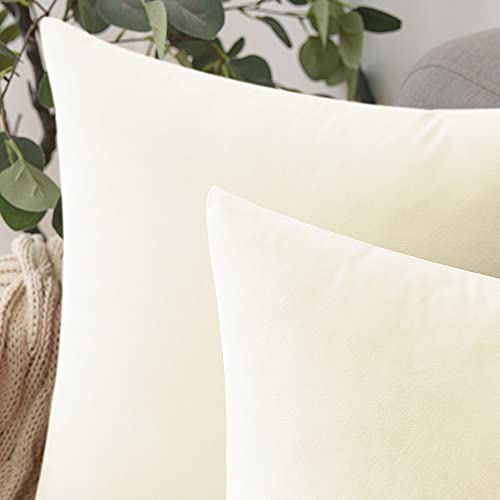 Comvi Cream Throw Pillows for Couch - Decorative Pillows, Inserts & Covers Set of 4 (2 Pillow Covers 18x18 + 2 Pillow Inserts 20x20)- Couch Pillows for Living Room - Velvet Sofa Pillows & Cushions