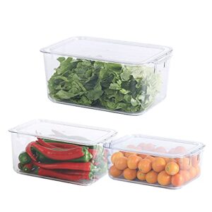 lunhoo clear storage organizer bin with front handles and lid for cabinet, pantry, counter, organizer box for coffee, tea, packets