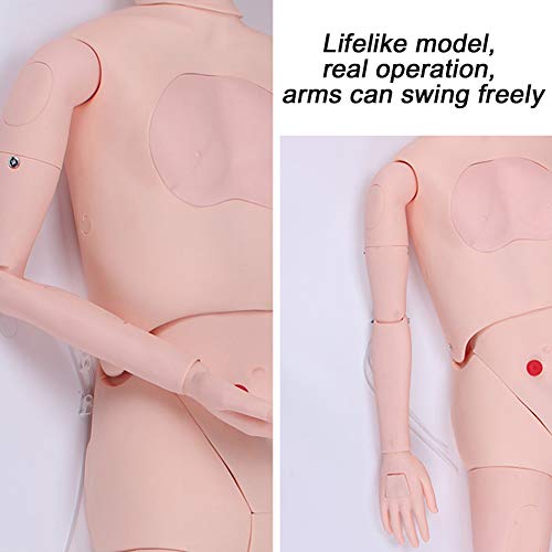 BIUYYY Nursing Manikin PVC Nursing Training Mannequins with Simulation Visceral and Replaceable Wound Modules and Storage Bag for Students Education Teaching Medical Training Skills