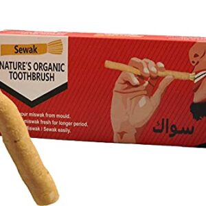 SEWAK Miswak Sticks for Teeth Natural Toothbrush | مسواك | Siwak Organic Wooden Tooth Brush Oral Teeth Whitener with Holder | Vacuum Sealed (10 Pack)