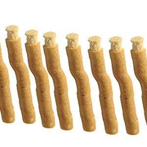 SEWAK Miswak Sticks for Teeth Natural Toothbrush | مسواك | Siwak Organic Wooden Tooth Brush Oral Teeth Whitener with Holder | Vacuum Sealed (10 Pack)