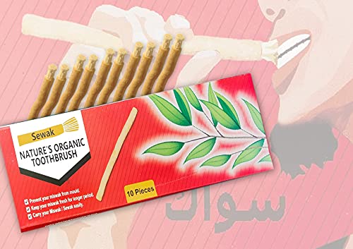 SEWAK Miswak Sticks for Teeth Natural Toothbrush | مسواك | Siwak Organic Wooden Tooth Brush Oral Teeth Whitener with Holder | Vacuum Sealed (10 Pack)