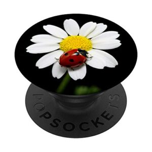 cute ladybug on yellow daisy flower popsockets swappable popgrip