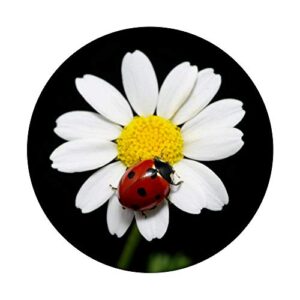 Cute Ladybug on Yellow Daisy Flower PopSockets Swappable PopGrip