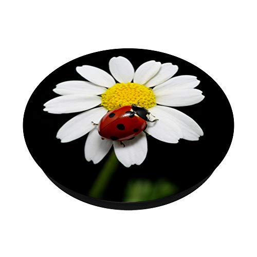 Cute Ladybug on Yellow Daisy Flower PopSockets Swappable PopGrip