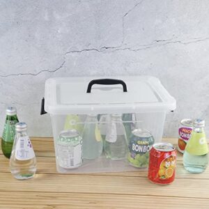 Kekow 6-Pack 10 L Plastic Storage Boxes, Clear Plastic Storage Bins with Lids