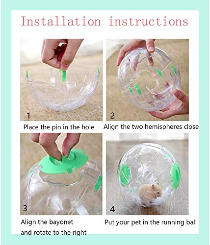 gutongyuan 5.5 Inch Transparent Hamster Ball Running Hamster Exercise Ball,Hamster Wheel Plastic Cute Exercise Mini Ball for Dwarf Hamsters to Relieves Boredom and Increases Activity (Green)