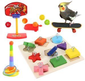 bird training toy, parakeet intelligence toy, parrot wooden block puzzles toy, bird basketball toy, parrot skateboard, bird stacking toy for parrot budgie cockatiel finch