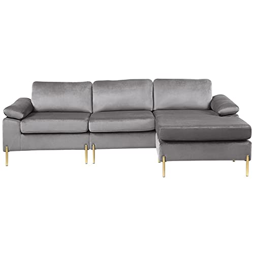 Devion Furniture Modern Velvet Sectional Sofa in Gray/Gold Legs