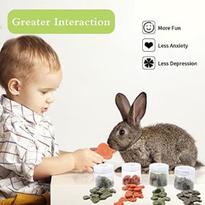 Bunny Chew Toys, LE-SEKAI Natural Rabbit Chew Toys Nutritious Small Animal Molar Treat Biscuits - Carrot Biscuits, Timothy Biscuits, Alfalfa Biscuits, and Rye Biscuits, 120g Each for Rabbit/Hamster