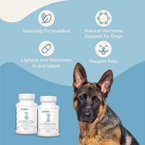 Lignans & Melatonin Blend Naturally Aids in Relieving Symptoms of Cushing’s Disease in Dogs | Helps Promote Healthy Adrenal Balance & Overall Well-being | by Prana Pets | 3 MG Melatonin, 20 MG Lignans