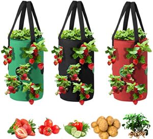 grow bags 3 gallon for strawberry vegetables 12 planting holes, sturdy hanging handle thickened breathable felt cloth, plant grow bag for carrot onion tomato potato roses