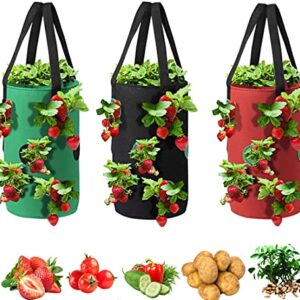 Grow Bags 3 Gallon for Strawberry Vegetables 12 Planting Holes, Sturdy Hanging Handle Thickened Breathable Felt Cloth, Plant Grow Bag for Carrot Onion Tomato Potato Roses