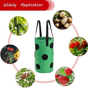 Grow Bags 3 Gallon for Strawberry Vegetables 12 Planting Holes, Sturdy Hanging Handle Thickened Breathable Felt Cloth, Plant Grow Bag for Carrot Onion Tomato Potato Roses