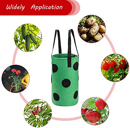 Grow Bags 3 Gallon for Strawberry Vegetables 12 Planting Holes, Sturdy Hanging Handle Thickened Breathable Felt Cloth, Plant Grow Bag for Carrot Onion Tomato Potato Roses