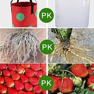 Grow Bags 3 Gallon for Strawberry Vegetables 12 Planting Holes, Sturdy Hanging Handle Thickened Breathable Felt Cloth, Plant Grow Bag for Carrot Onion Tomato Potato Roses