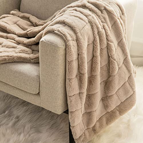 Kingole Faux Rabbit Fur Luxury Throw Blanket, Cozy Couch Sofa Bed Super Soft and Warm Plush Microfiber 350GSM, 50 x 60 Inch, Beige