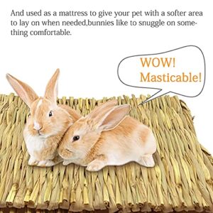 Tfwadmx 20 Pcs Bunny Grass Mat Rabbit Natural Straw Woven Bed Small Animal Cages Sleeping Hay Mats Nest Play Chew Toys for Guinea Pig, Parrot, Hamster, Chinchilla, Squirrel and Small Animal