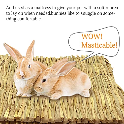 Tfwadmx 20 Pcs Bunny Grass Mat Rabbit Natural Straw Woven Bed Small Animal Cages Sleeping Hay Mats Nest Play Chew Toys for Guinea Pig, Parrot, Hamster, Chinchilla, Squirrel and Small Animal