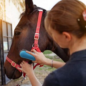 Harrison Howard Horse Grooming Kit 11-Piece Equine Care Series Horse Brush Sets with Organizer Tote Bag Tack Room Supplies Shedding Grooming Massaging Tools-Light Blue