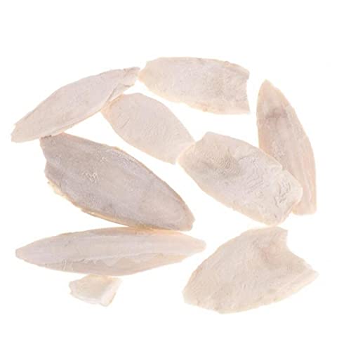 Pinicecore Natural Cuttlefish Bone for Reptiles, Cuttlebone Tortoises, Snails, Birds Food Calcium Pickstone Pet