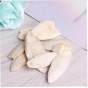 Pinicecore Natural Cuttlefish Bone for Reptiles, Cuttlebone Tortoises, Snails, Birds Food Calcium Pickstone Pet