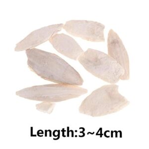 Pinicecore Natural Cuttlefish Bone for Reptiles, Cuttlebone Tortoises, Snails, Birds Food Calcium Pickstone Pet