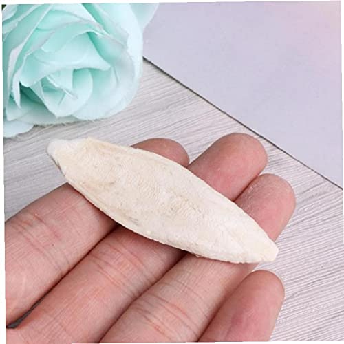 Pinicecore Natural Cuttlefish Bone for Reptiles, Cuttlebone Tortoises, Snails, Birds Food Calcium Pickstone Pet