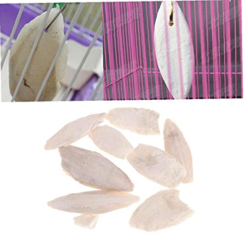 Pinicecore Natural Cuttlefish Bone for Reptiles, Cuttlebone Tortoises, Snails, Birds Food Calcium Pickstone Pet