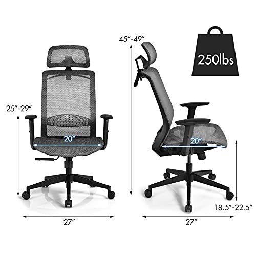 Giantex Ergonomic Office Chair, Mesh Desk Chair Back Support with Adjustable Headrest, High Back Executive Chair Comfortable Swivel Rolling Computer Task Chair with Clothes Hanger for Adults (Grey)