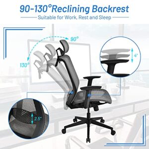 Giantex Ergonomic Office Chair, Mesh Desk Chair Back Support with Adjustable Headrest, High Back Executive Chair Comfortable Swivel Rolling Computer Task Chair with Clothes Hanger for Adults (Grey)