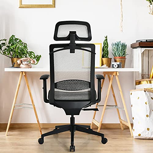 Giantex Ergonomic Office Chair, Mesh Desk Chair Back Support with Adjustable Headrest, High Back Executive Chair Comfortable Swivel Rolling Computer Task Chair with Clothes Hanger for Adults (Grey)