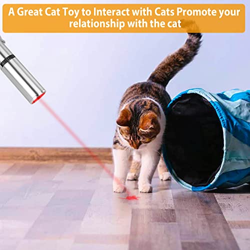 Cat Toys for Indoor Cat Kitten Toys Pointer for Interactive Playing, Cat Flashlight LED Projection, USB Rechargeable Pet Dog Chasing Toys, Pack of 2