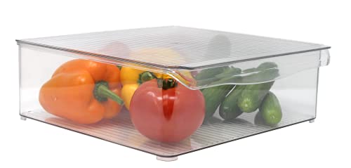 Plastic Food Storage Container Bin with Lid and Handle for Kitchen, Pantry, Cabinet, Fridge, Freezer - Organizer for Snacks, Produce, Vegetables