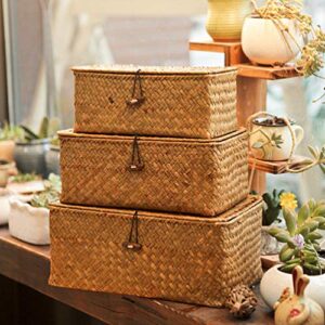 Hemoton Basket Wicker Baskets Seagrass Storage Baskets with Lid Seaweed Woven Storage Box Laundry Hampers Desktop Sundry Organizer for Clothes Washing Sorting Picnic Size M Rattan Box Storage Basket