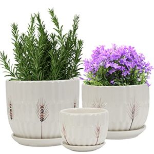 laerjin plant pots 4.17" & 5.62" & 6.88" flower pot with drainage holes and saucers, set of 3 ceramic plant pot with tray, outdoor small to medium sized round modern ceramic garden flower pots