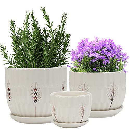 Laerjin Plant Pots 4.17" & 5.62" & 6.88" Flower Pot with Drainage Holes and Saucers, Set of 3 Ceramic Plant Pot with Tray, Outdoor Small to Medium Sized Round Modern Ceramic Garden Flower Pots