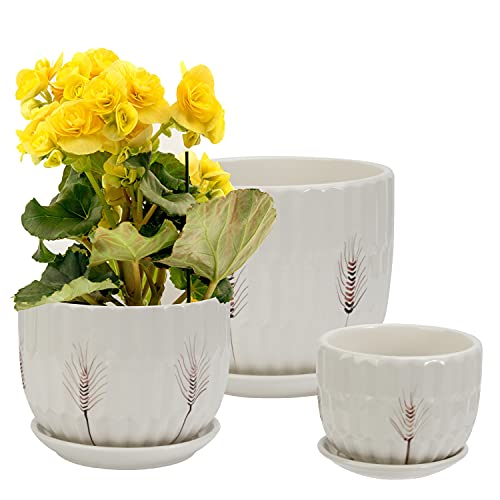 Laerjin Plant Pots 4.17" & 5.62" & 6.88" Flower Pot with Drainage Holes and Saucers, Set of 3 Ceramic Plant Pot with Tray, Outdoor Small to Medium Sized Round Modern Ceramic Garden Flower Pots