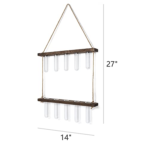 Mkono Plant Propagation Tubes, 2 Tiered Wall Hanging Plant Terrarium with Wooden Stand Mini Test Tube Flower Vase Glass Planter for Hydroponic Plant Cutting Home Garden Office Decor Plant Lover Gift