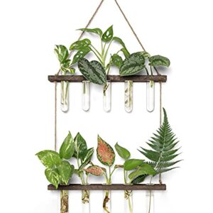 Mkono Plant Propagation Tubes, 2 Tiered Wall Hanging Plant Terrarium with Wooden Stand Mini Test Tube Flower Vase Glass Planter for Hydroponic Plant Cutting Home Garden Office Decor Plant Lover Gift