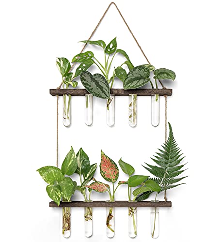 Mkono Plant Propagation Tubes, 2 Tiered Wall Hanging Plant Terrarium with Wooden Stand Mini Test Tube Flower Vase Glass Planter for Hydroponic Plant Cutting Home Garden Office Decor Plant Lover Gift