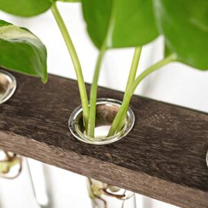 Mkono Plant Propagation Tubes, 2 Tiered Wall Hanging Plant Terrarium with Wooden Stand Mini Test Tube Flower Vase Glass Planter for Hydroponic Plant Cutting Home Garden Office Decor Plant Lover Gift