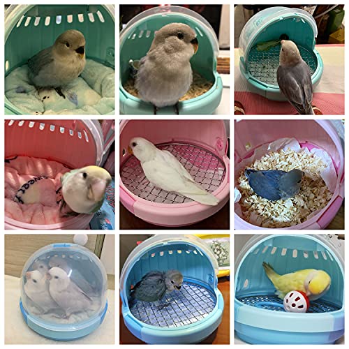 Bird Carrier with Handle - Parrot Carrier Lightweight Portable Pets Suitcase Transparent Breathable Warm Nest Bed for Parakeet Macaw Cockatiels Conure Lovebird Parrot Birds Accessories (Green)