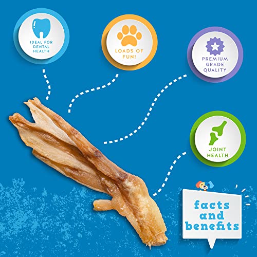 Jack&Pup Premium Grade Duck Feet Dog Chew, All Natural Dog Treats for Medium Dogs - High in Glucosamine Chondroitin for Dogs for Hip and Joint, Dehydrated Duck Feet Dog Treats for Small Dogs (20 pack)