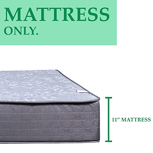 Treaton 11-Inch Firm Foam Encased Euro Top Gel Infused innerspring Mattress, Queen