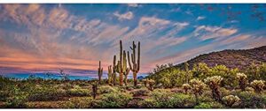 awert 36x18 inches terrarium background blue sky cloud huge cactus oasis gobi reptile habitat background vinyl