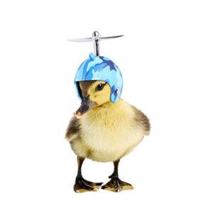 popetpop chicken helmet- bird toy head protection helmet bird hat headwear suitable for parrot small hens, ducks and other poultry funny pet safety helmet costumes accessories
