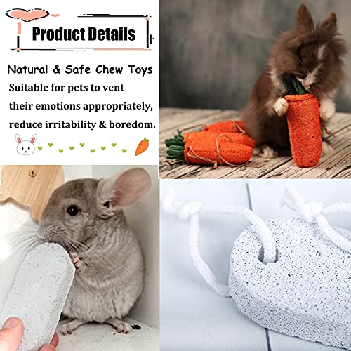 kathson Bunny Chew Toys for Teeth Grinding,Rabbit Wooden Scratch Board Feet Pad Rotatable Pet Play Toy for Chinchilla Guinea Pigs Other Rodent Pets